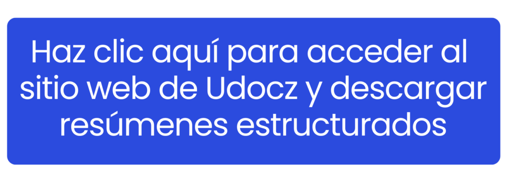 Interfaz de Udocz mostrando resúmenes profesionales y esquemas de datos clave.